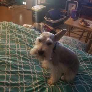 Meet your Posher, Walter